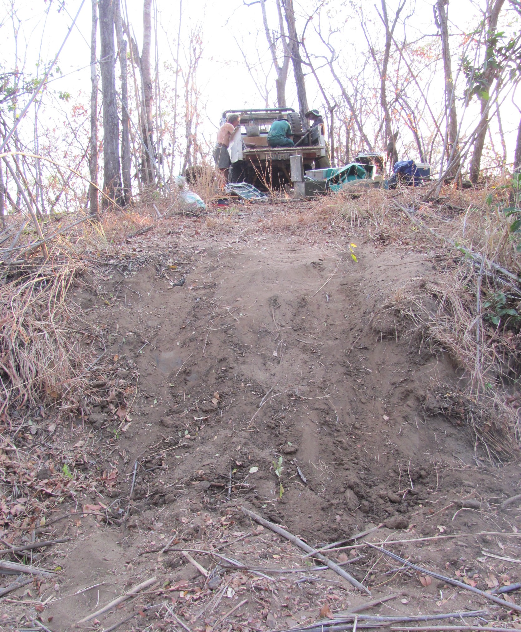 Moving through Bush