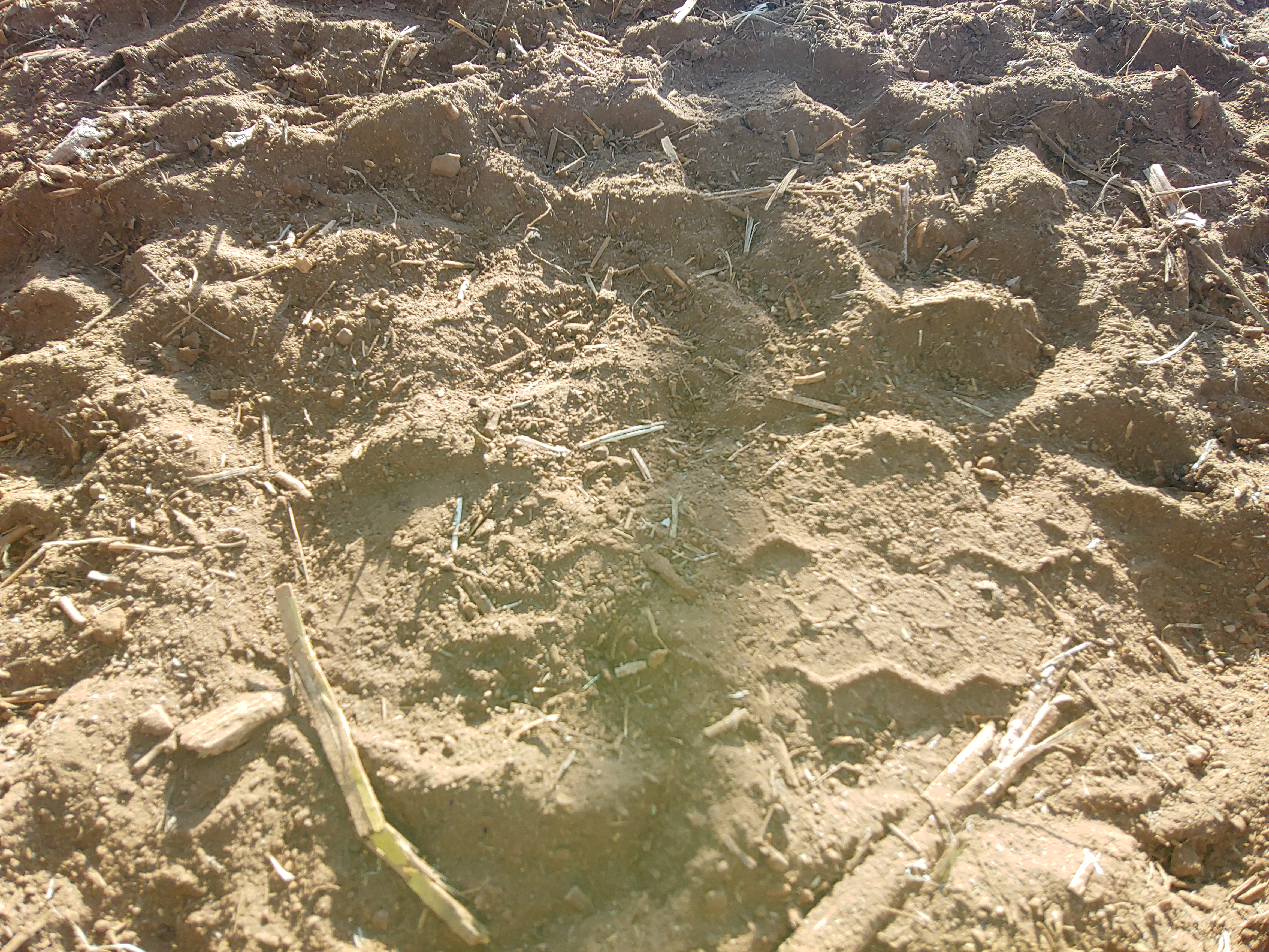 The meaning of human tracks in the african wilderness