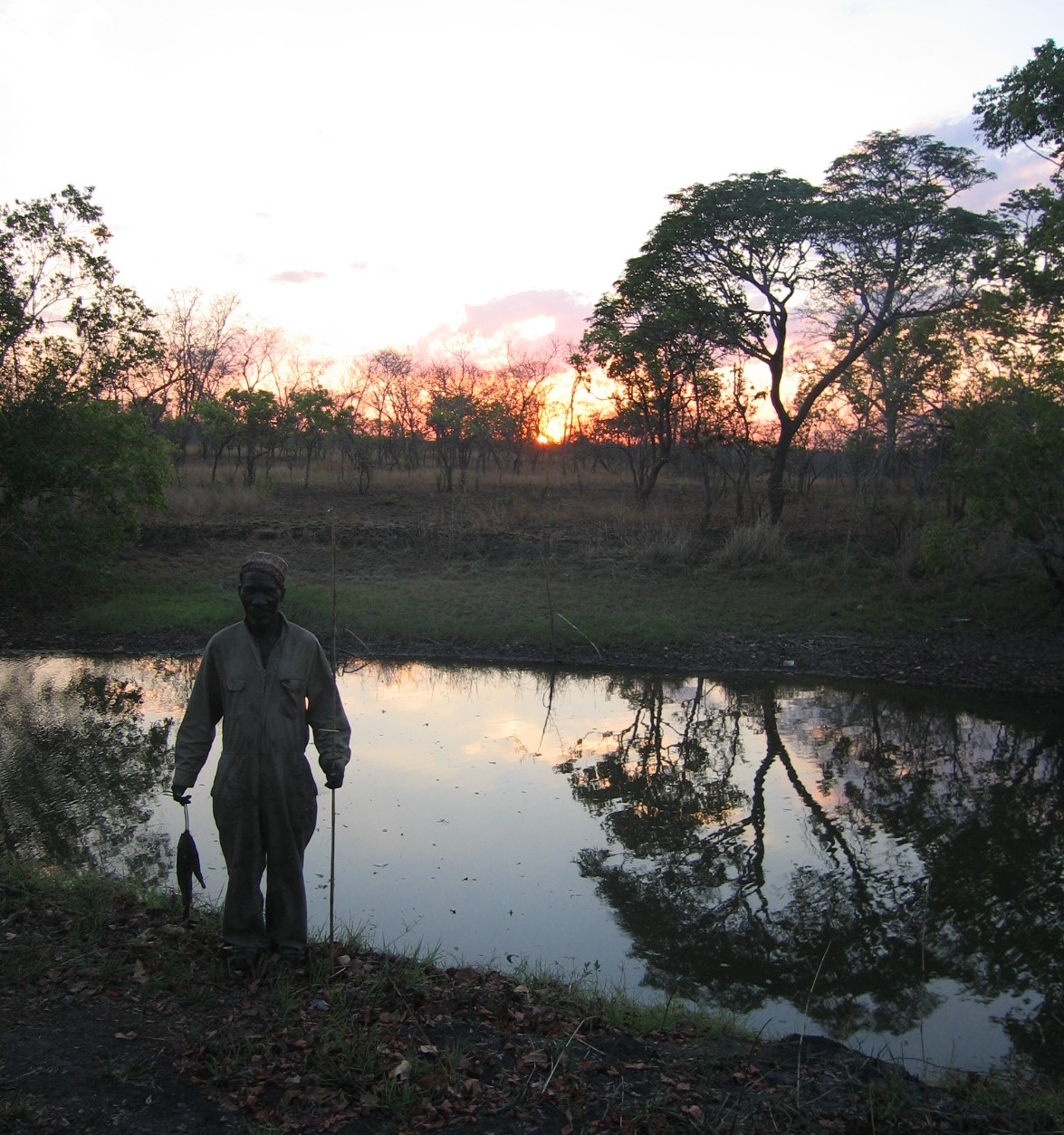 Rest with fish in the African wilderness