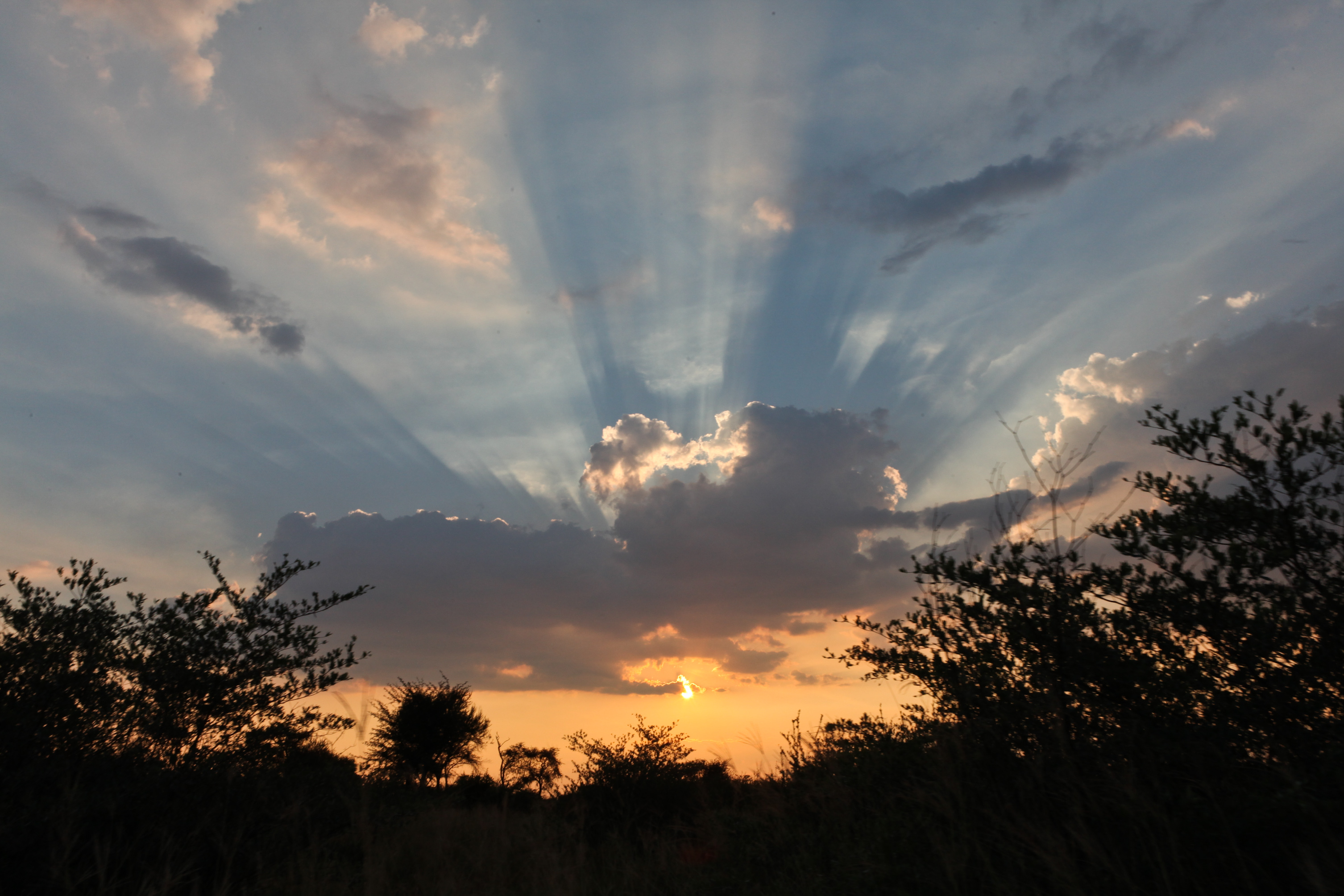 Generous reprieve in the bushveld. Hoffman van Zijl Wilderness Wanderer.