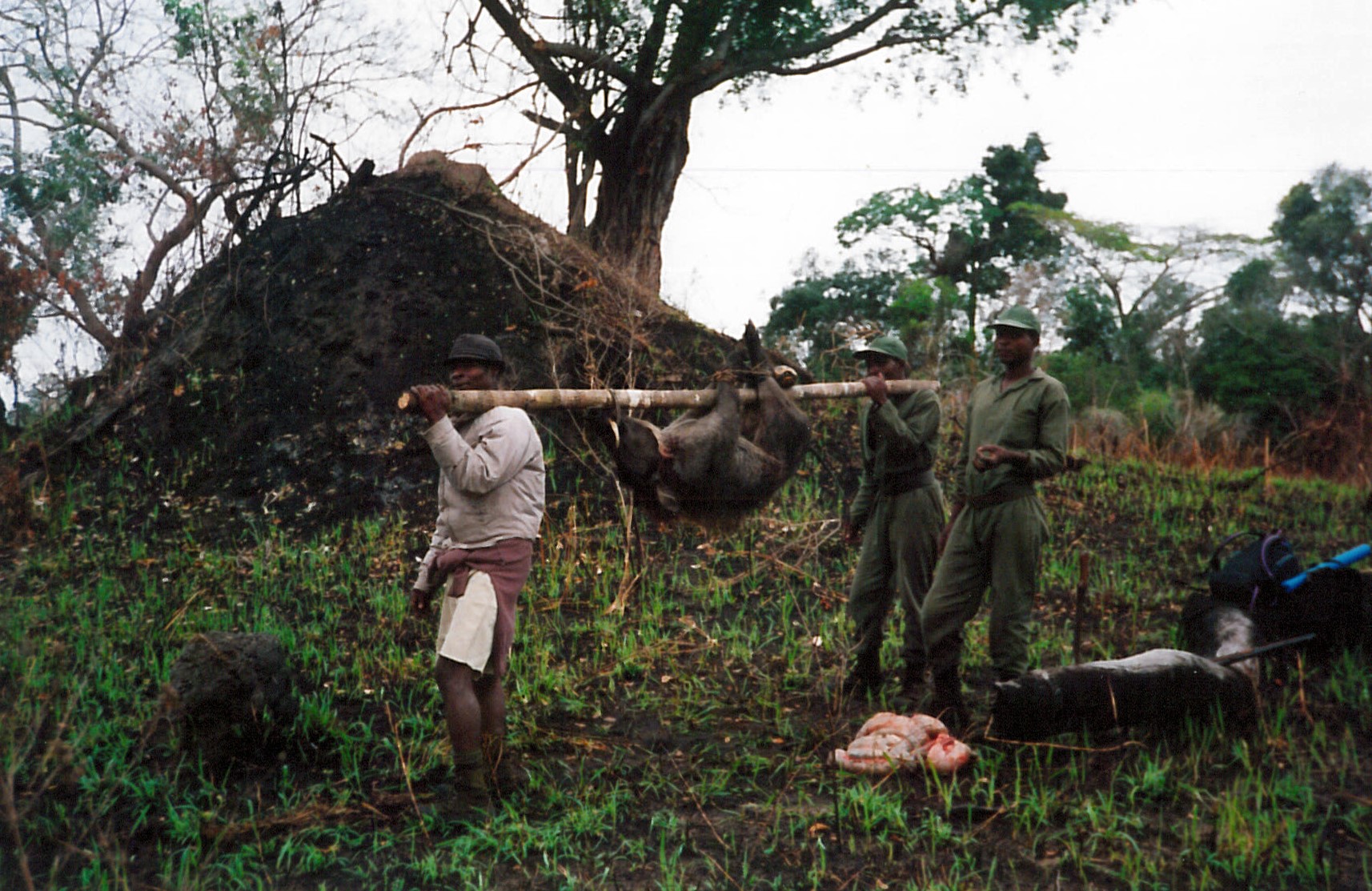 Warthog for the Chief - Hoffman van Zijl Wilderness Wanderer