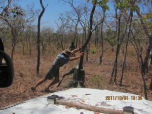 Breaking through the bush is hard work!