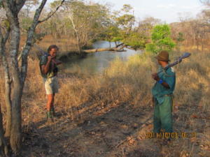 Early morning elephant spoor, Northern Mozambique Oct 11