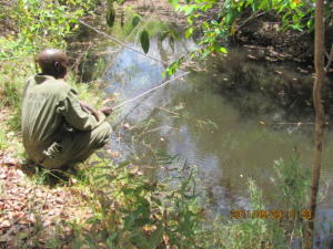 Fishing for food along the way
